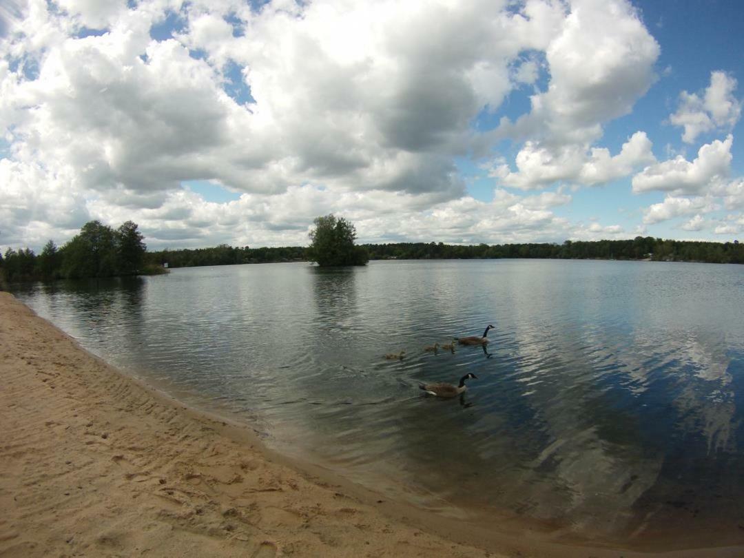 Ferienwohnung OSLO - Haus am See mit Sandstrand nahe Rhein-Main und Spessart Kahl am Main Exterior foto